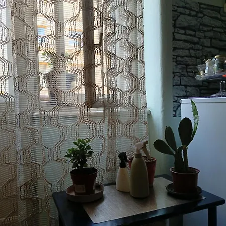 Old Vibe 1&2 Center And June Apartamento *